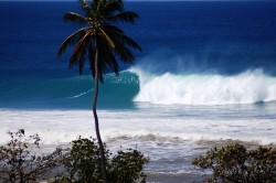 Delicately-shaded violence at Tres Palmas.